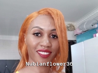 Nubianflower36