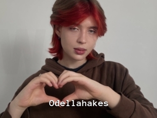 Odellahakes
