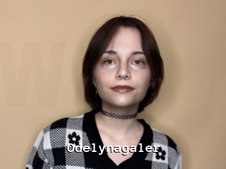 Odelynagaler