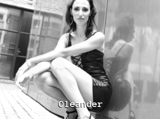 Oleander