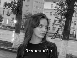 Orvacaudle