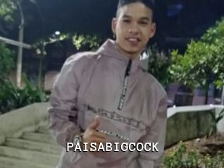 PAISABIGCOCK