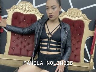 PAMELA_NOLIMITS