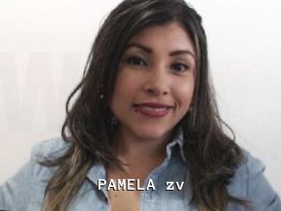 PAMELA_zv