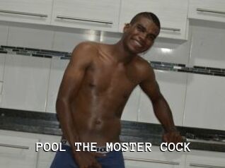 POOL_THE_MOSTER_COCK