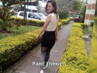 PamEinhorn