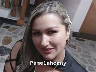 Pamelahorny