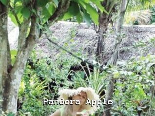 Pandora_Apple