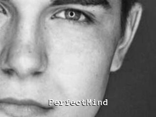 PerfectMind