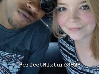 PerfectMixture3828