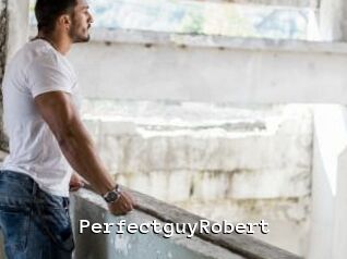 PerfectguyRobert