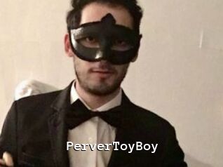 PerverToyBoy