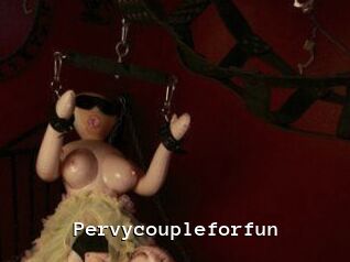 Pervycoupleforfun Webcamsex Amateur