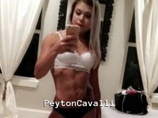 Peyton_Cavalli