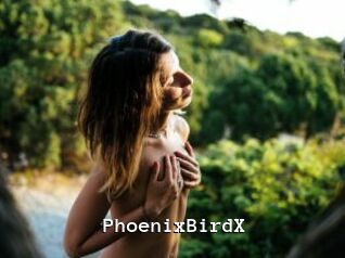 PhoenixBirdX