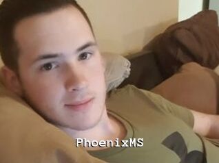 PhoenixMS