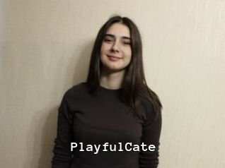 PlayfulCate