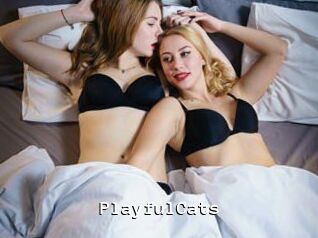 PlayfulCats