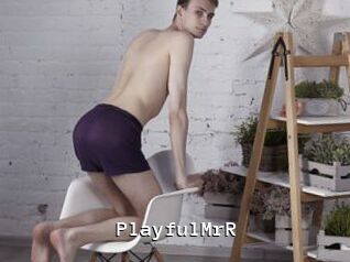 PlayfulMrR
