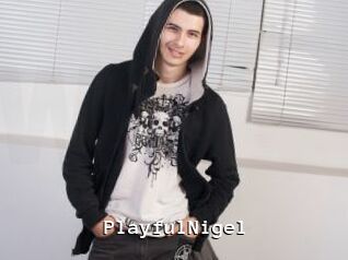 PlayfulNigel