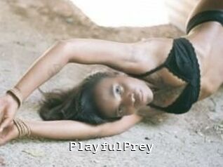 PlayfulPrey