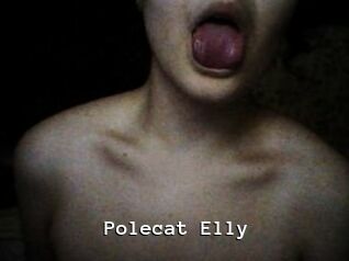 Polecat_Elly