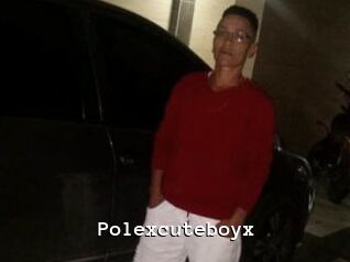 Polexcuteboyx