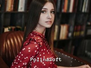 PolinaSoft
