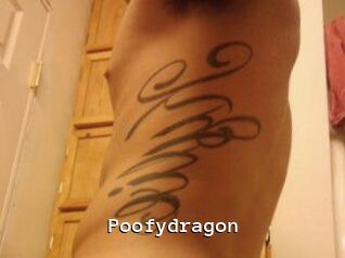 Poofydragon
