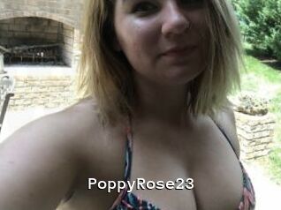 PoppyRose23