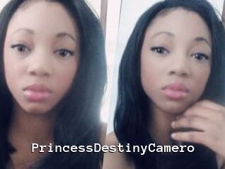 PrincessDestinyCamero