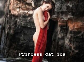 Princess_cat_ica