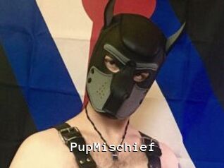 PupMischief