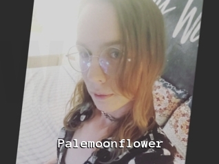 Palemoonflower