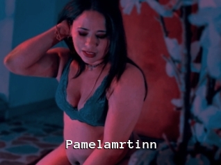 Pamelamrtinn