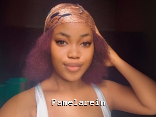 Pamelarein