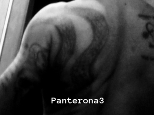 Panterona3