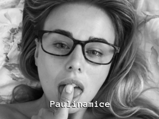 Paulinamice