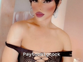 Paytonbigcock
