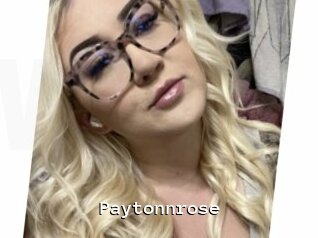 Paytonnrose