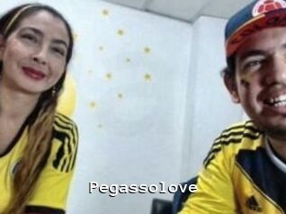 Pegasso_love