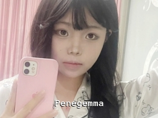 Penegemma
