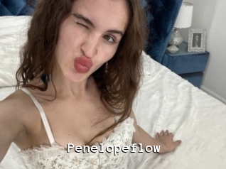 Penelopeflow