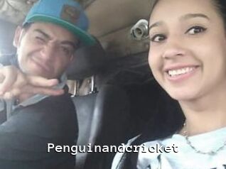 Penguinandcricket
