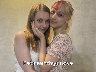 Petraandsynnove