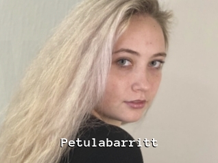 Petulabarritt