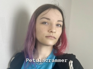 Petulacrammer