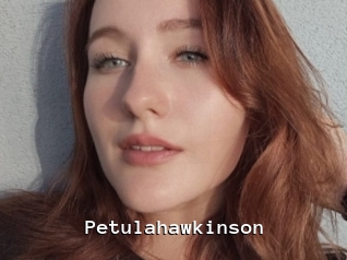 Petulahawkinson