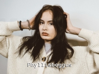Phyllisboggus