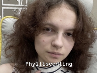 Phylliscodling